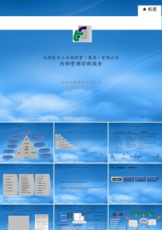 天津泰丰-报告3-内部管理诊断报告