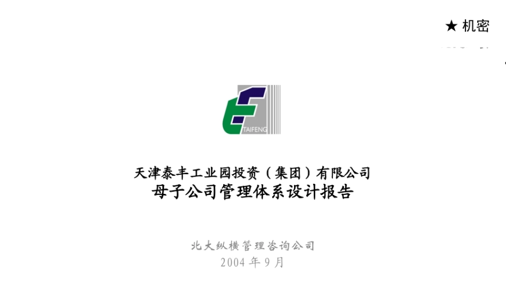 天津泰丰-报告7-母子公司管理体系设计报