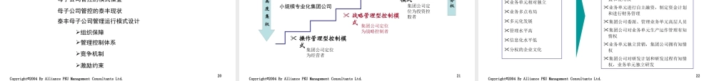天津泰丰-报告7-母子公司管理体系设计报