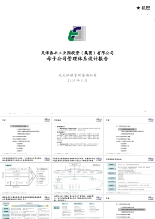 天津泰丰-报告7-母子公司管理体系设计报