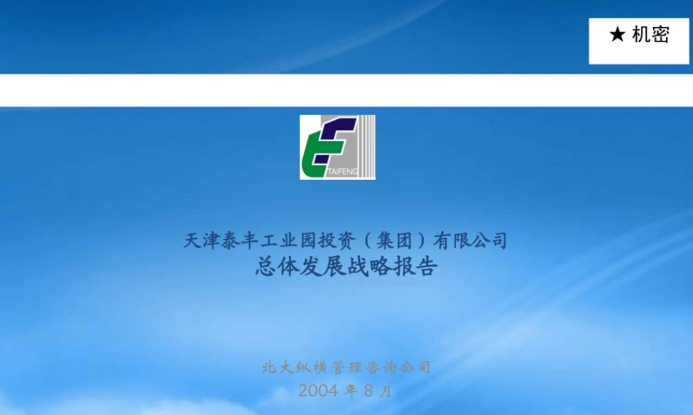 天津泰丰-战略规划报告