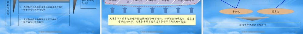天津泰丰-战略规划报告