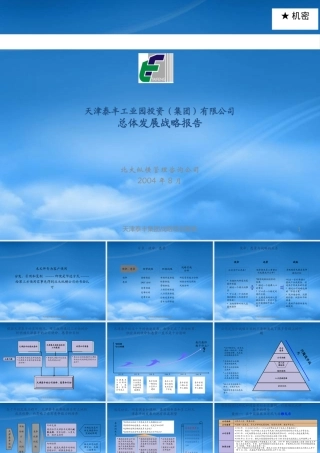 天津泰丰-战略规划报告