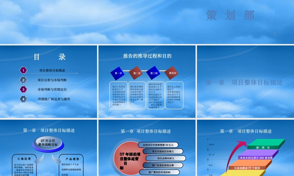 天津团泊湖地产项目年度营销推广计划-87PPT