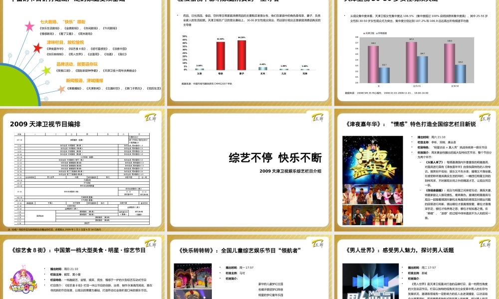 天津卫视招商推广方案(ppt 60) 