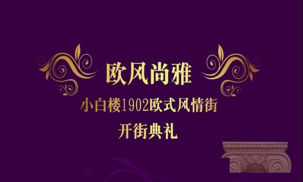天津小白楼欧式风情街开街典礼活动策划方案_114页