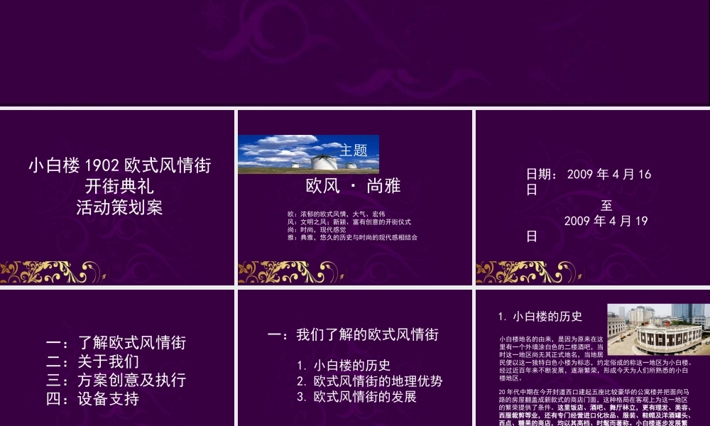 天津小白楼欧式风情街开街典礼活动策划方案_114页