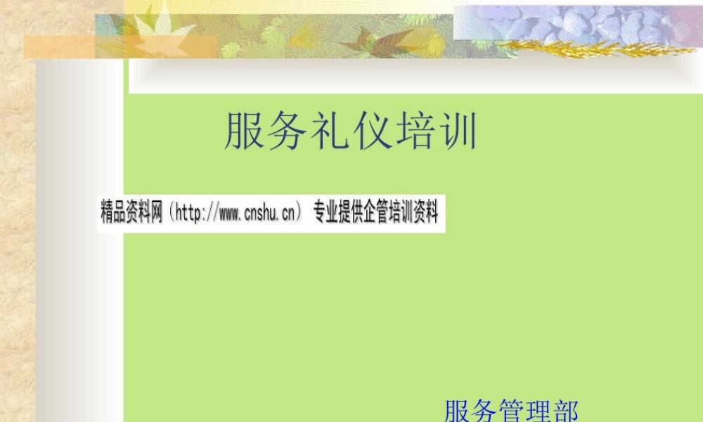 服务礼仪专项培训(ppt 60页)