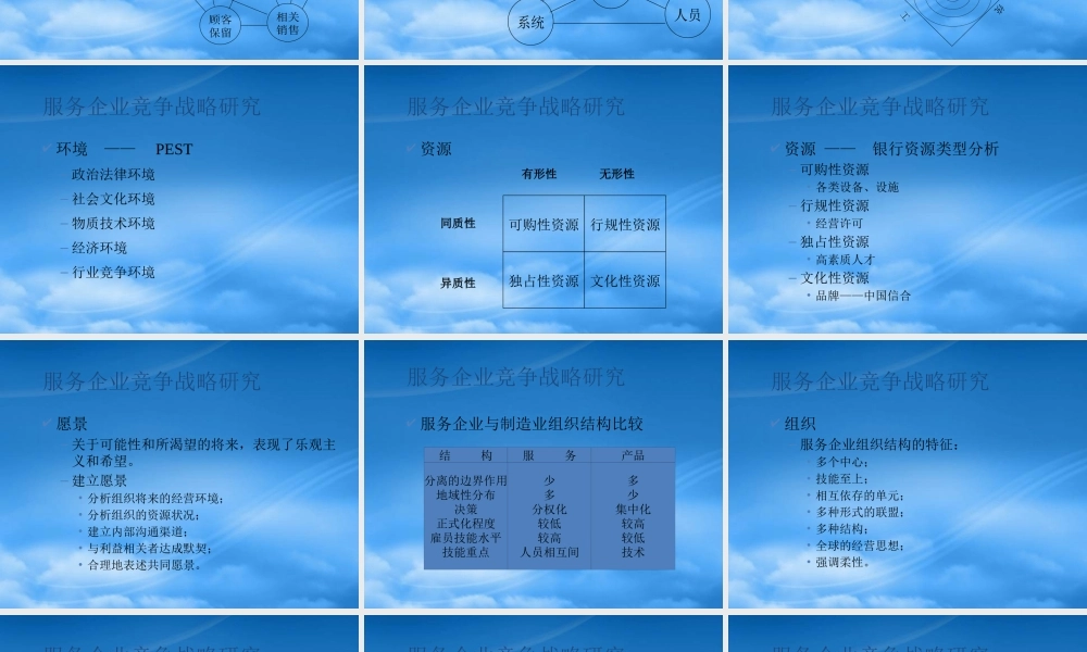 服务企业竞争战略