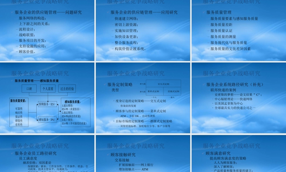 服务企业竞争战略
