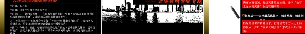 天津招商钻石山XXXX年营销总控说明
