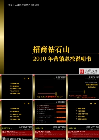 天津招商钻石山XXXX年营销总控说明