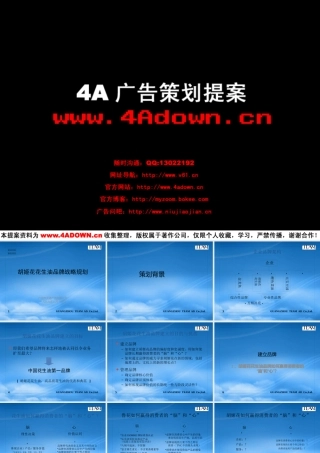 天进-胡姬花花生油品牌战略规划