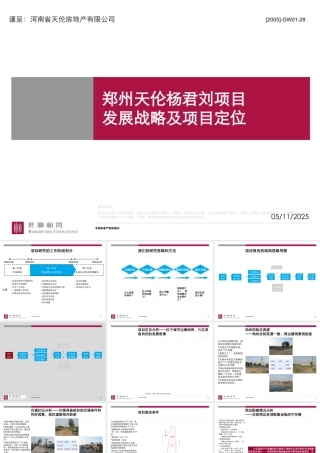天伦琥珀名城项目整体定位与发展战略研究