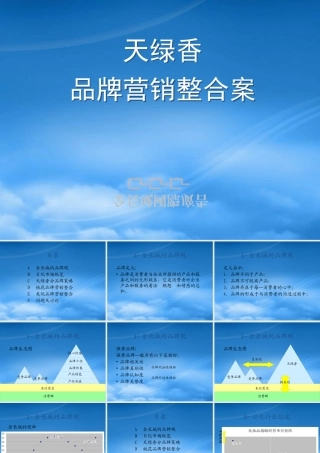 天绿香品牌营销案--ahjlr