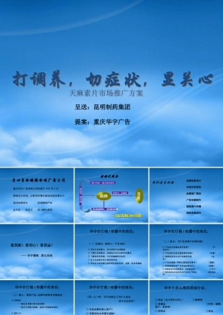 天麻素推广全案策略