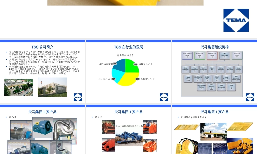 天马荷斯筛分产品技术交流