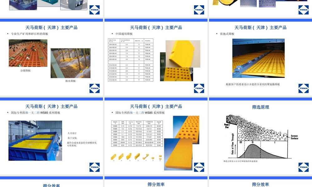 天马荷斯筛分产品技术交流