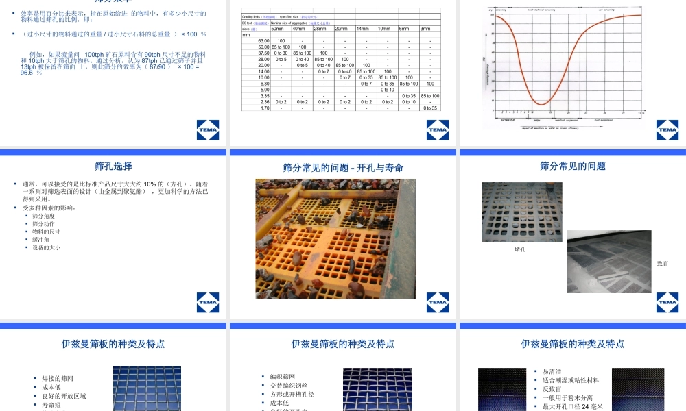 天马荷斯筛分产品技术交流