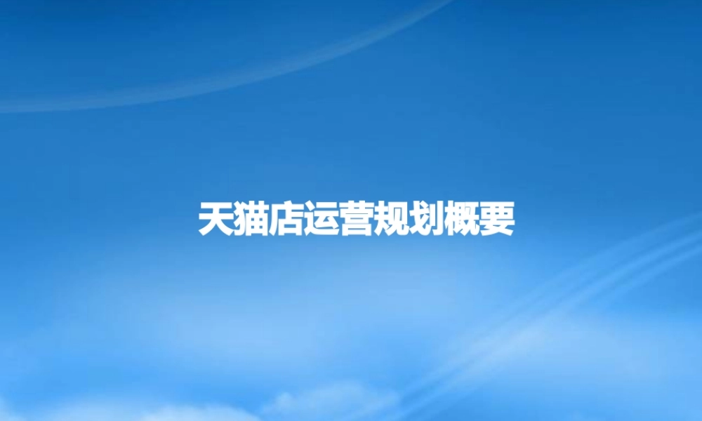 天猫店运营规划概要
