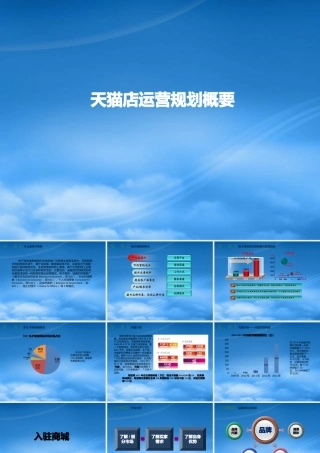 天猫店运营规划概要