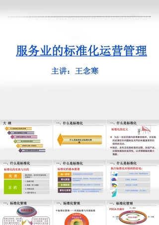 服务业的标准化运营管理