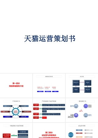 天猫运营策划书(最新版)