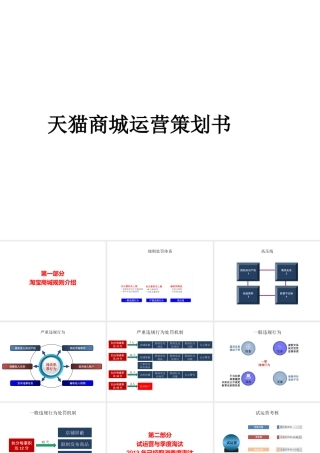 天猫运营策划书(最新完整版)