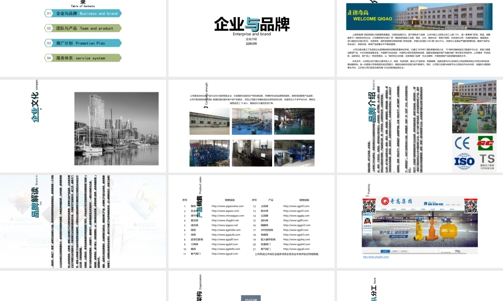 天猫运营计划(PPT35页)