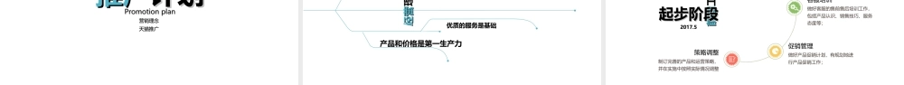 天猫运营计划(PPT35页)
