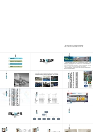 天猫运营计划(PPT35页)