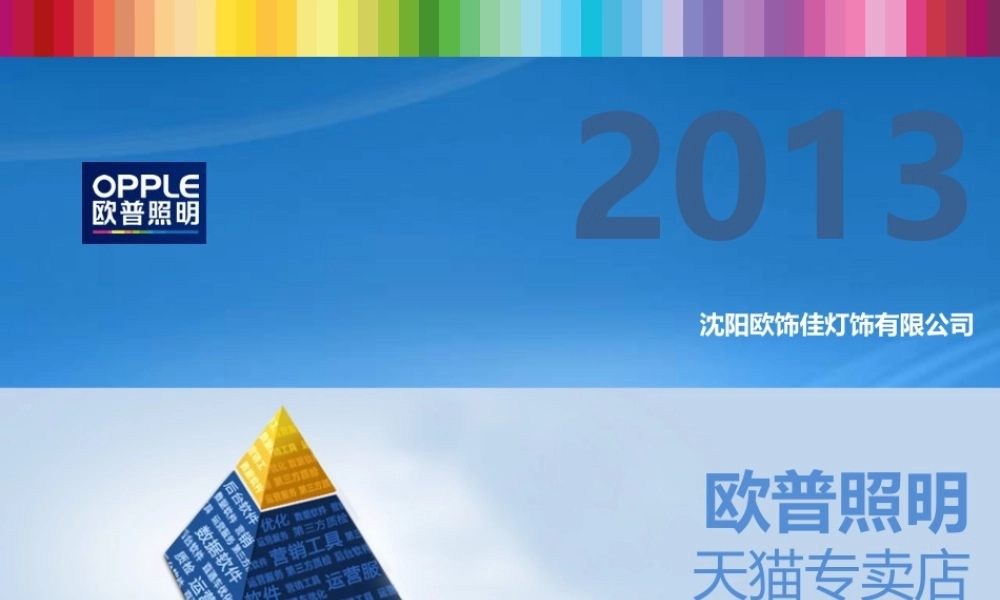 天猫专卖店运营方案PPT