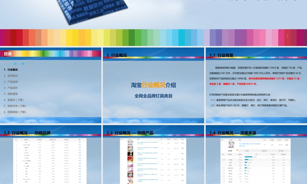 天猫专卖店运营方案PPT
