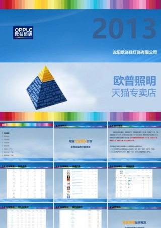 天猫专卖店运营方案PPT