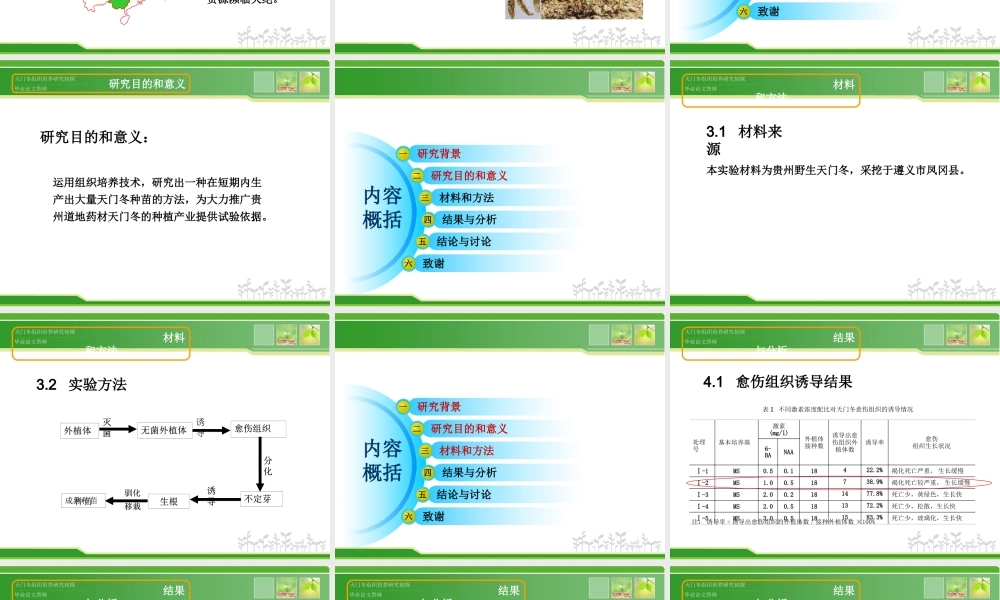 天门冬组织培养研究初探