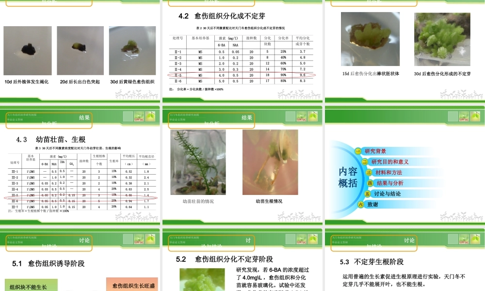 天门冬组织培养研究初探