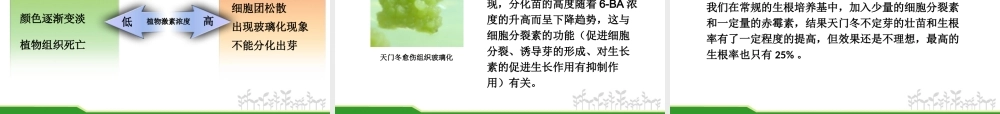 天门冬组织培养研究初探