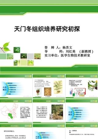 天门冬组织培养研究初探