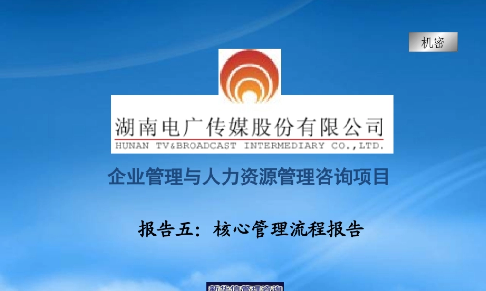 某公司核心管理流程报告