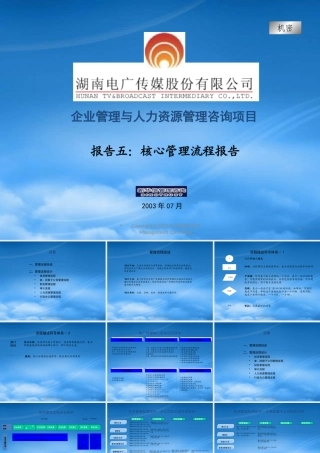 某公司核心管理流程报告