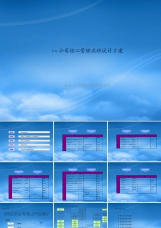 某公司核心管理流程设计方案