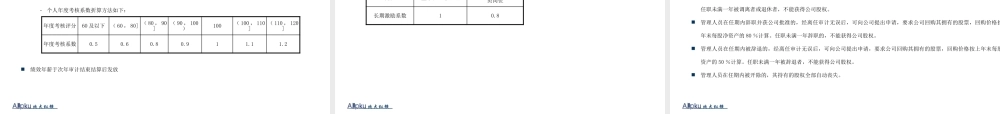 某公司核心管理团队绩效管理体系设计报告