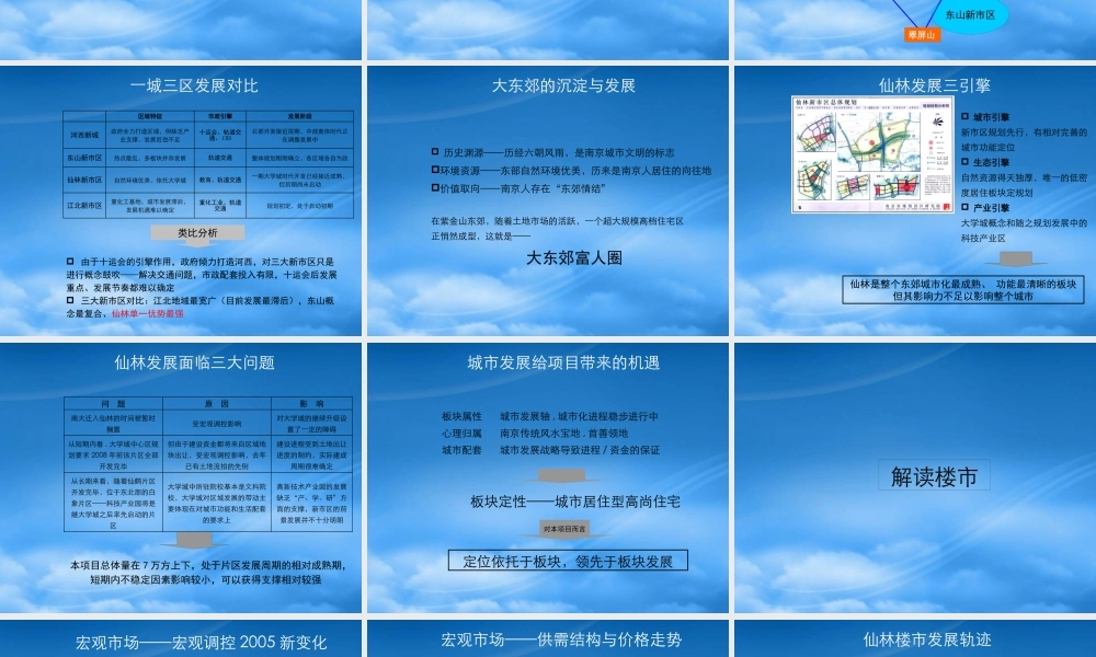 天启_南京仙林自然天城别墅项目推广提报方案_159P