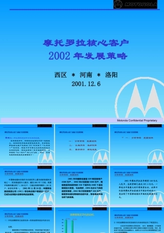 某公司核心客户发展策略课件