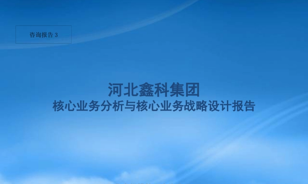 某公司核心业务分析与核心业务战略设计报告