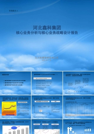某公司核心业务分析与核心业务战略设计报告