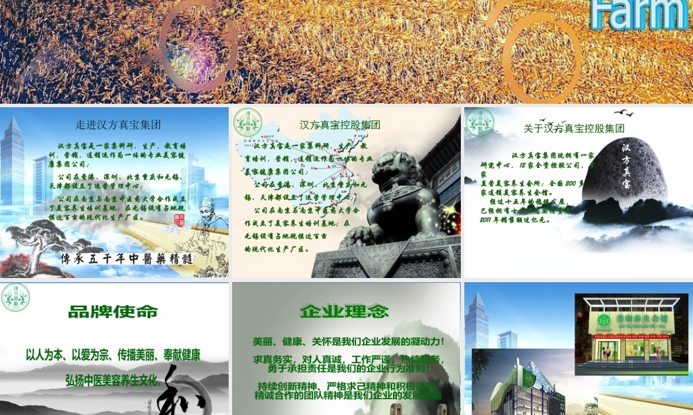 某公司核心业务介绍及市场招商方案