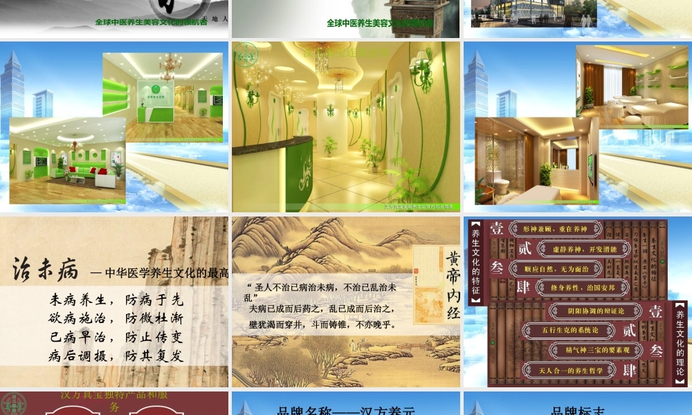 某公司核心业务介绍及市场招商方案