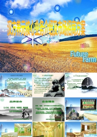 某公司核心业务介绍及市场招商方案