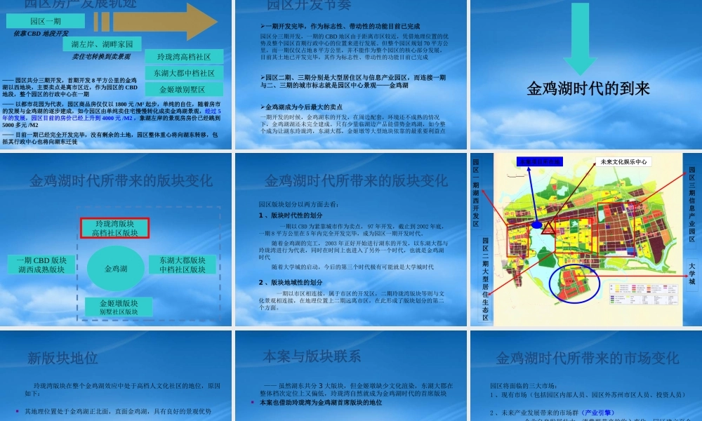 天启苏州玲珑湾项目定位思考-89PPT